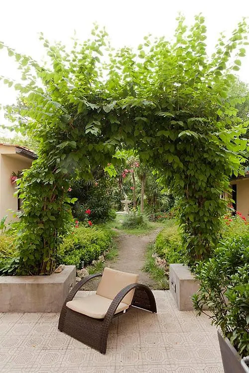 Hotel Novecento Pisa Italien